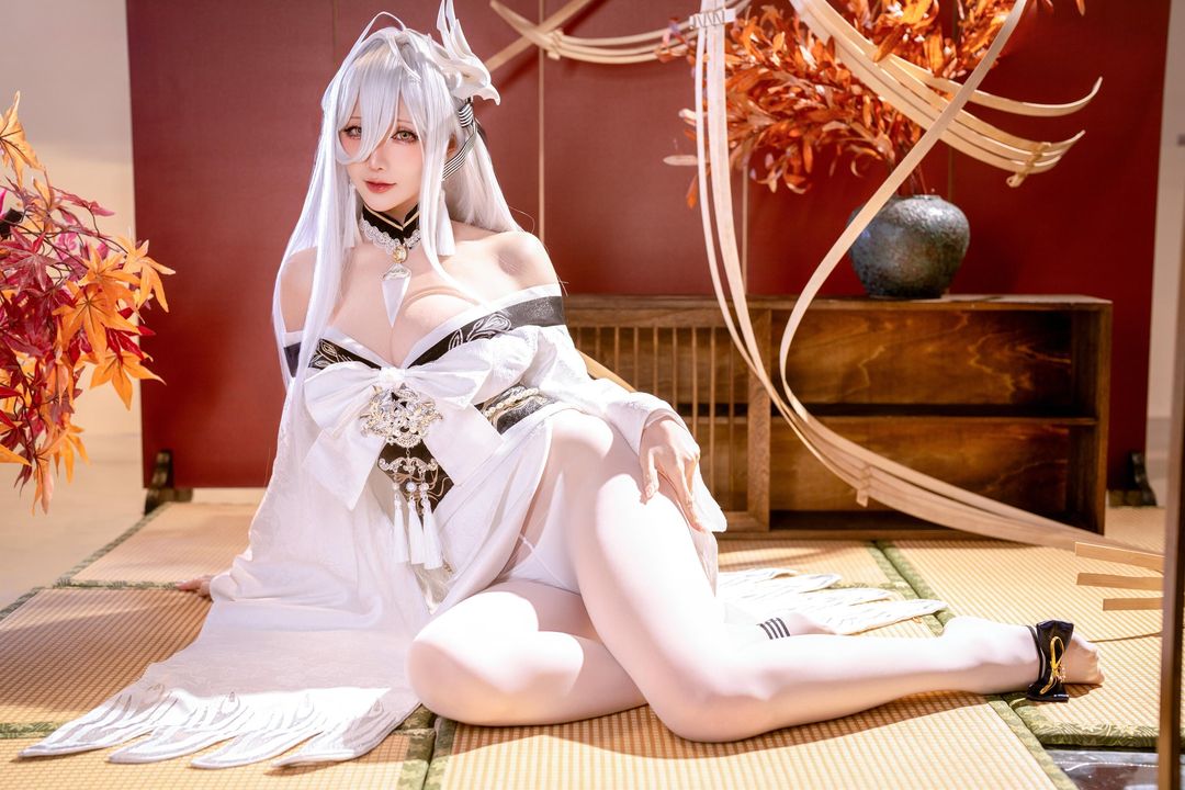 星之迟迟 - 26年1月计划 D 碧蓝航线 白凤 (2)