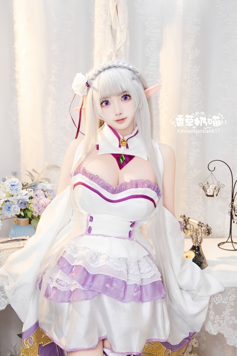 香草奶喵 爱蜜莉雅 (1)