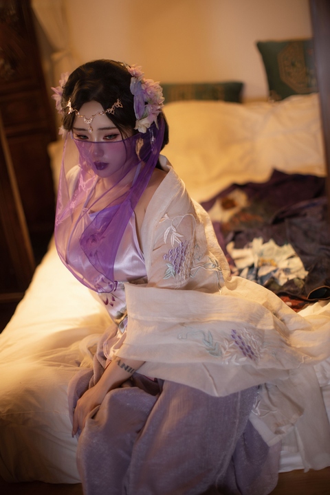 钛合金TiTi · 紫棠 73P+1V视频古风创作 · 紫色梦境中的古典美人-玩图志