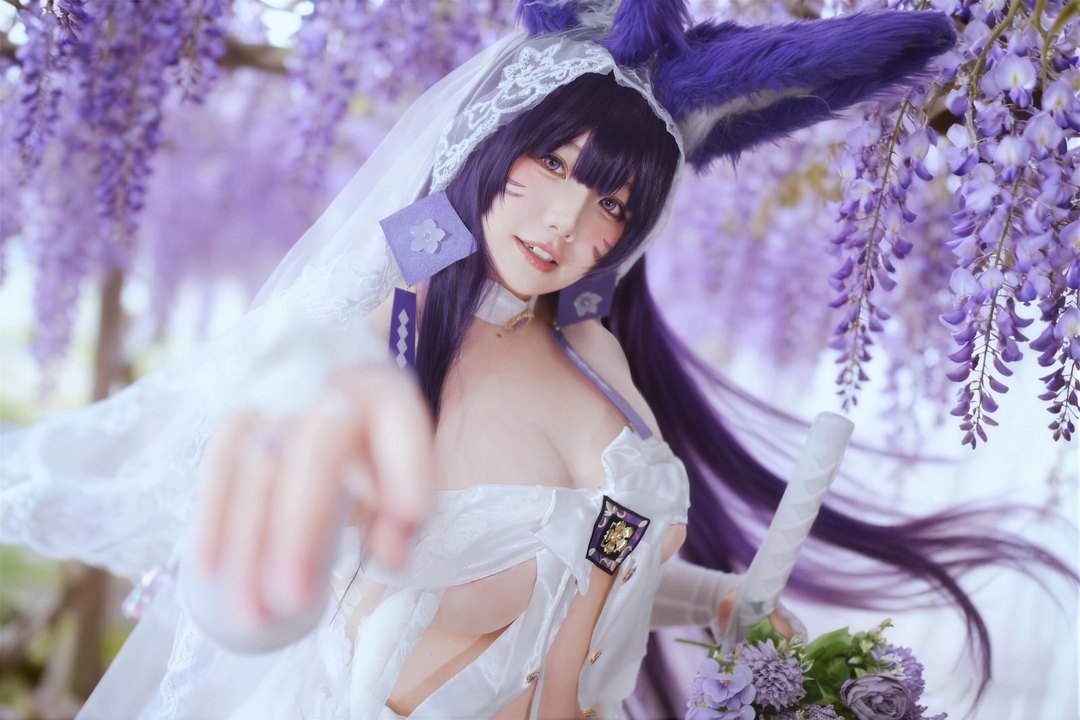 阿半今天很开心 - 碧蓝航线 武藏 婚纱｜75P · 1.11GB · 紫藤白纱，九尾在彩窗光里铺成誓约毯-玩图志
